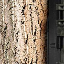 Infrared Night View Game Camera 1080P 12MP (Battery and TF Card Not Included) 0.8s Trigger Motion Activated with 2.0in HD Screen China Mainland