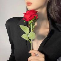 Artificial roses, dried flowers, wedding decorations, 6 stems per pack 50cm raudona