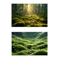 Photography Background Versatile Displays Photography Backdrop for Advertisements Cosmetics Books Magazines Food Shops Photos
