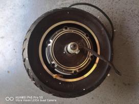 10-inch Brushless Hub Motor for Mini Electric Skateboard with Drum Brake and Tire, 350W/500W 36V Drum Brake Single Motor