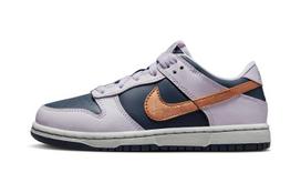 Nike Dunk Low SE PS 'Copper Swoosh' 28