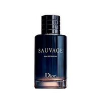 DIOR Wilderness Men's Perfumes Woody Amber Eau De Parfum EDP 60ml/100ml Citrus Santalum Album 60ml