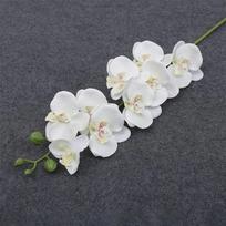 69 cm Dirbtinės Phalaenopsis gėlės šakos, tikroviškos, dirbtinės orchidėjų stiebai gėlių kompozicijoms, vestuvių vakarėliui, namų dekoravimui balta