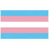 Progress Pride vaivorykės vėliava Gėjų Lesbiečių LGBT Pasididžiavimo Mėnesio Vėliava Ryški Spalva Išblukimui Atsparus Poliesterio Drobės Antraštė Dvigubai Siūta 90 x 150cm pastelinės mėlynos spalvos