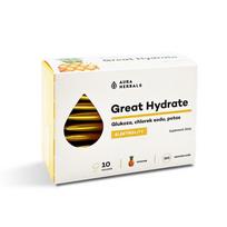 AURA HERBALS Great Hydrate – Elektrolitai (10 pakelių)