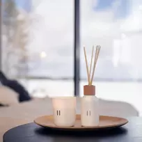 Home4You Kvapų lazdelės nuomos beržas, 100 ml