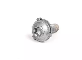 BMW Torxschraube 5 E60 E61 6 E63 E64 Originalus 51717063831