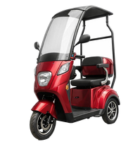 Elektrinis triratis motoroleris / skuteris BN022, 800W 20AH EEC