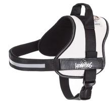Petnešos šunims Hobbydog Julletta, šviesiai ruda sp., 350 - 410 mm x 110 mm, M