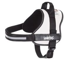 Petnešos šunims Hobbydog Julletta, šviesiai ruda sp., 350 - 410 mm x 110 mm, M