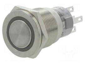 Switch: vandal resistant | Pos: 2 | SPDT | 0.5A/220VAC | 1A/24VDC | IP67