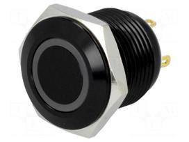 Switch: vandal resistant | Pos: 2 | SPST-NO | 2A/36VDC | IP65 | OFF-(ON)