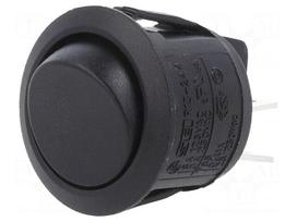 ROCKER | DPST | Pos: 2 | ON-OFF | 10A/250VAC | none | R13-244-AC | 50mΩ