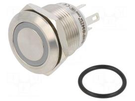 Switch: vandal resistant | Pos: 2 | SPST-NO | 0.5A/220VAC | 2A/36VDC