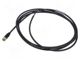 Cable: for sensors/automation | PIN: 3 | M8 female | straight | 2m