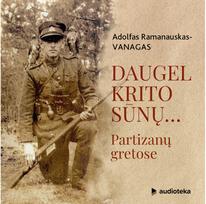 Daugel krito sūnų. Audioknyga - Adolfas Ramanauskas-Vanagas