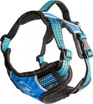 All For Dogs Viskas Šunims VISI ŠUNIMS SZELKI 2x-SPORT NIEB. M