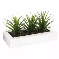 Aloe Gėlių vazonas su trimis alavijo sodinukais, papuošimas dirbtiniais augalais Atmosphera Créateur d'intérieur