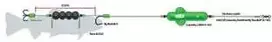 MadCat Screaming Profi River Rig Dead Bait