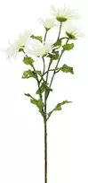 Bikuvalt Dekoratyvinė gėlė Chrizantemos šakelė balta/žalsva (12) h 76 cm SAVEX