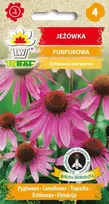 Toraf purpurinių ežiuolių žiedai [1g]