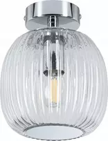 Paulmann lubinis šviestuvas RUYA vonios lubų šviestuvas E14 max 20W IP44 230V chromas / stiklas