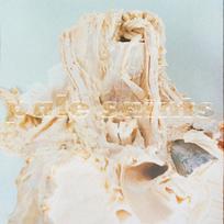 Pale Saints - In Ribbons (30th Anniversary Reissue) (juodas) Vinyl LP