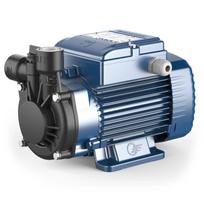 Periferinis siurblys Pedrollo PQm81-PPS 220V (PPS plastikinis korpusas, žalvarinis darbaratis)