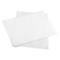 Riebalams ir vandeniui atsparus kepimo popierius sumuštiniams ir maistui 20 × 15 cm 50 lapų