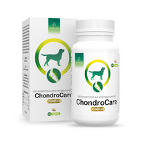 Pokusa ChondroCare 120 tabletės - papildas, palaikantis kaulų ir sąnarių sistemos funkciją, su gliukozaminu, chondroitinu ir bosvelijos ekstraktu.