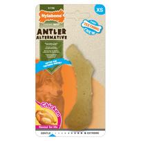 Nylabone Puppy Antler Chicken - saugus kramtomasis žaislas šuniukams, formos kaip elnio ragas