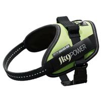 Julius - K9 IDC Powerharness Neon - aukštos kokybės šunų petnešos, neoninės - Mini - Mini