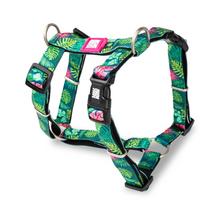 Max&Molly H - Tropical Harness - spalvingi reguliuojami diržai šunims ir šuniukams
