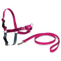 PetSafe Easy Walk Harness Raspberry - šunų pakinktų ir pavadėlio rinkinys