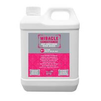 Hownd Miracle Repair Masque 2.5L - regeneruojanti kaukė šunims, 8:1 koncentratas