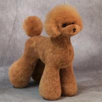 Mr. Jiang Teddy viso kūno plaukai - keičiami kailiai Teddy kirpimo manekenui