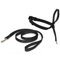 PetSafe Easy Walk Headcollar - antsnukis šunims, pakinktai ir pavadėlis
