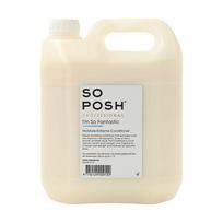 So Posh I'm So Fantastic Moisture Conditioner - drėkinamasis kondicionierius visų tipų kailiui, koncentratas 1:10