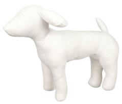 Chadog manekenas - šuns modelis