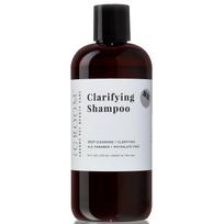 IGroom Clarifying Shampoo - valomasis šampūnas šunims ir katėms, koncentratas 1:16