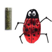 KONG Cat Refillables Catnip Ladybug - kačių žaislas su katžole, blizgantis boružėlės formos žaislas su katžolės atsargomis