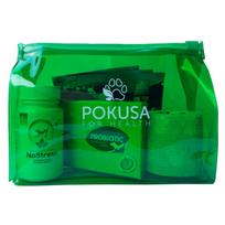 Pokusa First Aid Kit - pirmosios pagalbos rinkinys šunims, skirtas bendroms kelionėms ir išvykoms