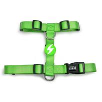 Dashi Solid Back Harness - reguliuojami apsauginiai diržai šunims