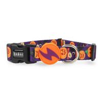 Dashi Pumpkin Collar - šuns antkaklis, Helovino moliūgų raštas