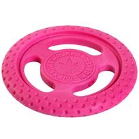 Kiwi Walker Let's Play Frisbee - lėkštė šunims
