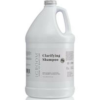 IGroom Clarifying Shampoo - valomasis šampūnas šunims ir katėms, koncentratas 1:16