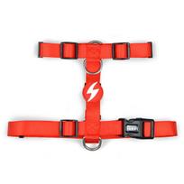 Dashi Solid Back Harness Red - reguliuojami raudoni šunų petnešos su apsauga
