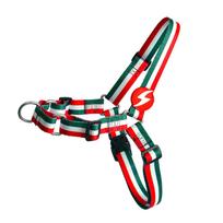 Dashi Stripes Green & Red priekinė petneša - Norvegiška petneša šunims, neleidžianti traukti, žalia ir raudona juostelės