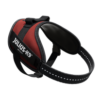 Julius - K9 IDC Powerharness Bordeaux - Rudas - aukštos kokybės šunų pakinktai, Bordo spalvos