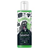 Bugalugs Aloe & Kiwi šampūnas - raminantis - drėkinantis šampūnas šunims, koncentratas 1:10